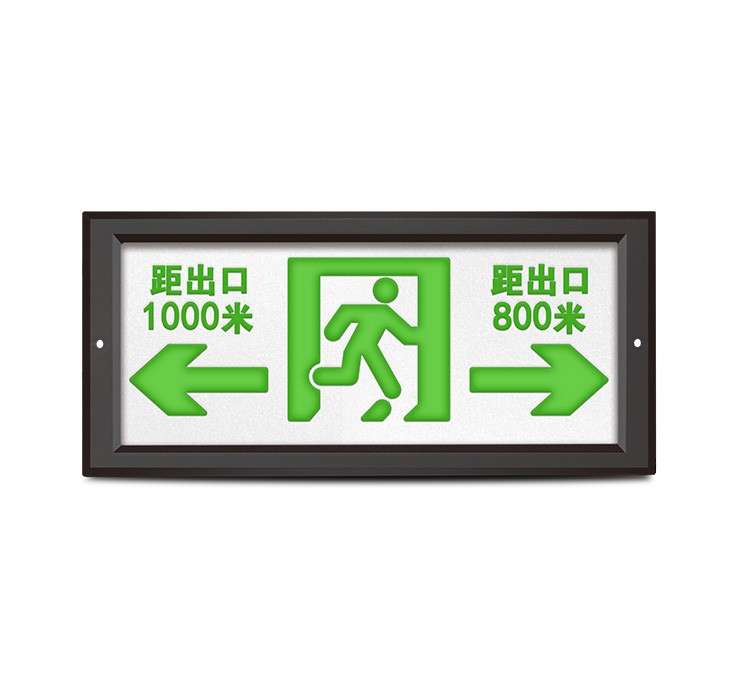 H系列-應(yīng)急標志燈-防水款(圖形可定制)